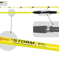 F2F-Storm