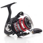 daiwa2